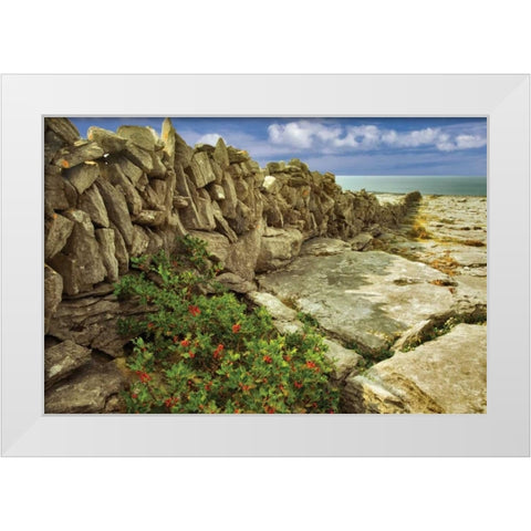 Through the Cracks White Modern Wood Framed Art Print by Frates, Dennis