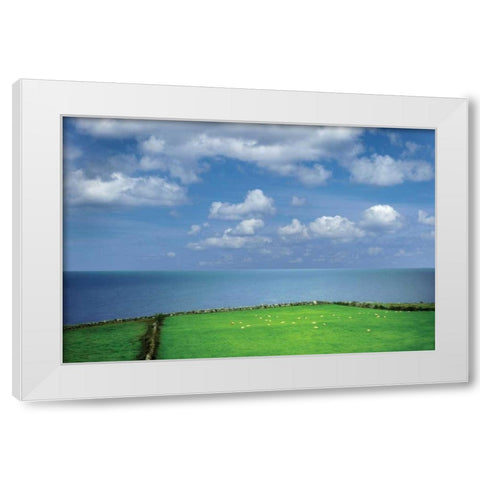 Sheep Herd White Modern Wood Framed Art Print by Frates, Dennis