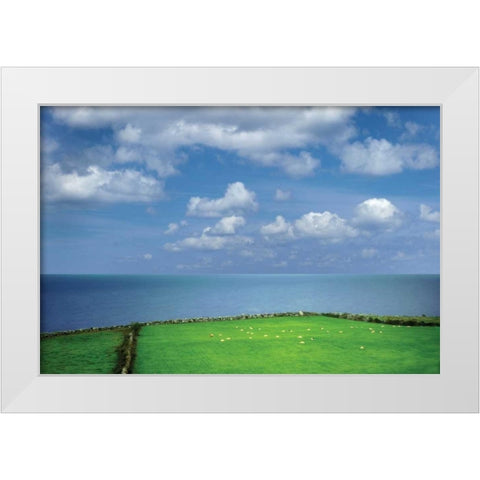 Sheep Herd White Modern Wood Framed Art Print by Frates, Dennis