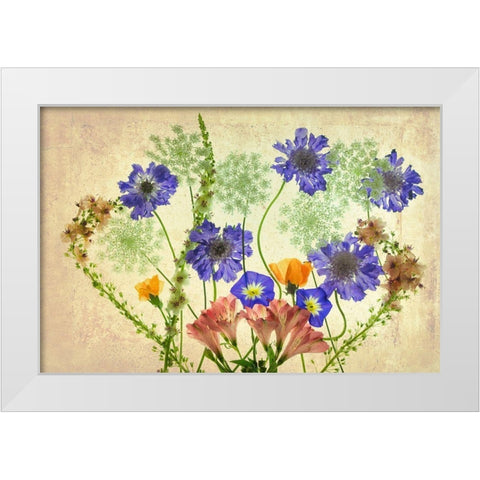 Botanical IX White Modern Wood Framed Art Print by Frates, Dennis