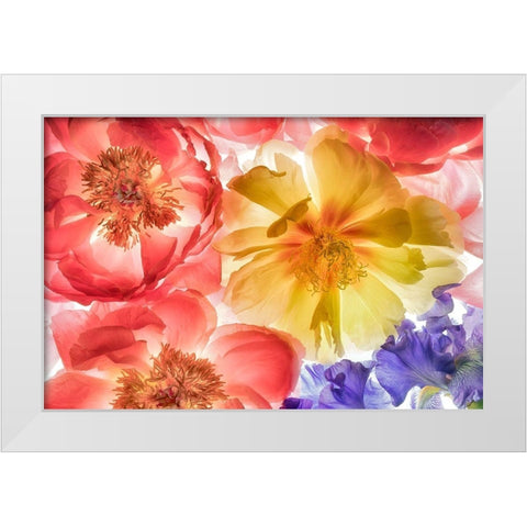 Botanical VIII White Modern Wood Framed Art Print by Frates, Dennis