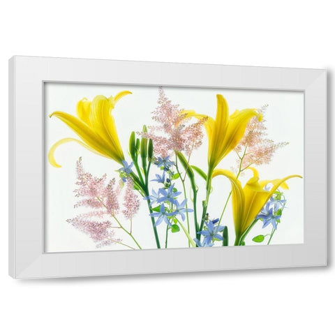 Botanical V White Modern Wood Framed Art Print by Frates, Dennis