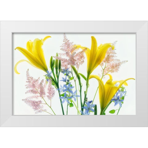 Botanical V White Modern Wood Framed Art Print by Frates, Dennis