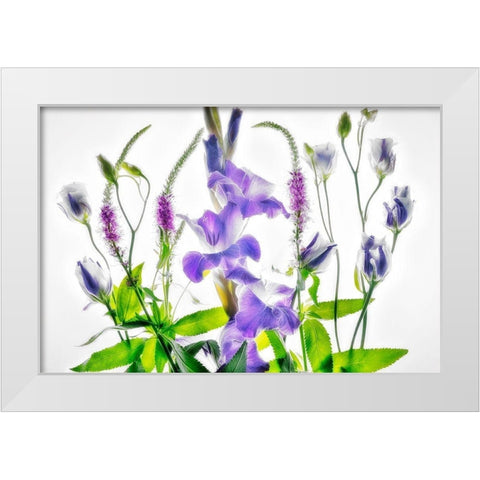 Botanical II White Modern Wood Framed Art Print by Frates, Dennis
