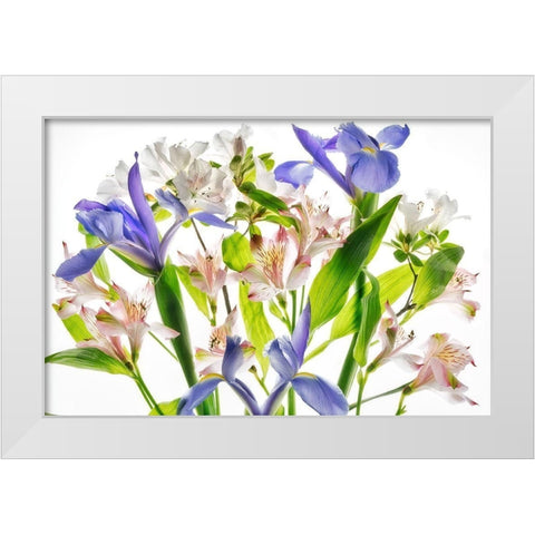 Botanical I White Modern Wood Framed Art Print by Frates, Dennis