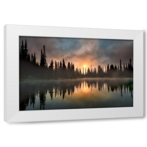 Bliss White Modern Wood Framed Art Print by Frates, Dennis