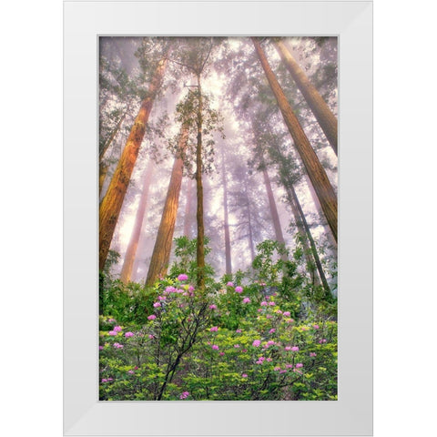Look Up White Modern Wood Framed Art Print by Frates, Dennis