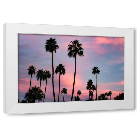 Palm Sunset White Modern Wood Framed Art Print by Frates, Dennis