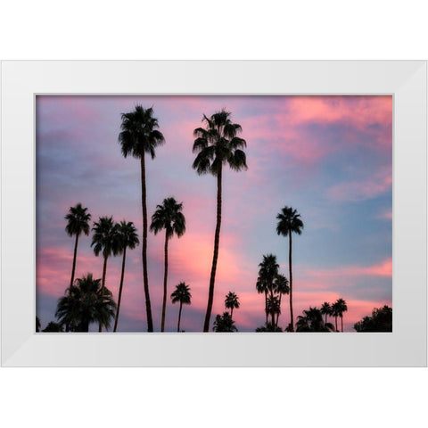 Palm Sunset White Modern Wood Framed Art Print by Frates, Dennis
