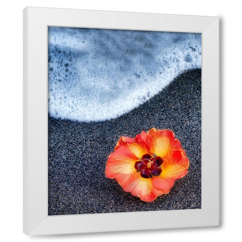 Beach Floral White Modern Wood Framed Art Print by Frates, Dennis