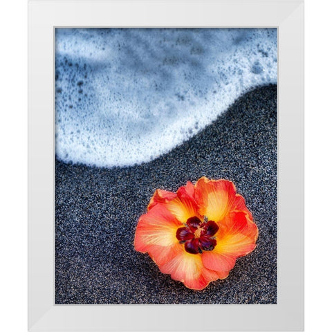 Beach Floral White Modern Wood Framed Art Print by Frates, Dennis