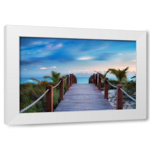 Paradise Path White Modern Wood Framed Art Print by Frates, Dennis