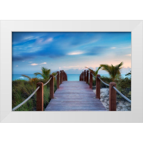 Paradise Path White Modern Wood Framed Art Print by Frates, Dennis