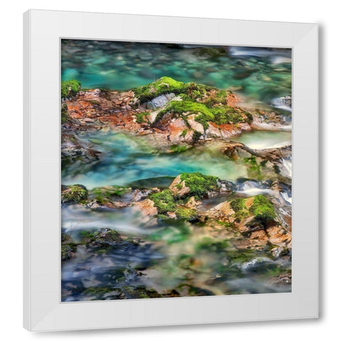 Mossy Rocks White Modern Wood Framed Art Print by Frates, Dennis