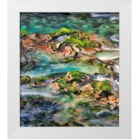 Mossy Rocks White Modern Wood Framed Art Print by Frates, Dennis