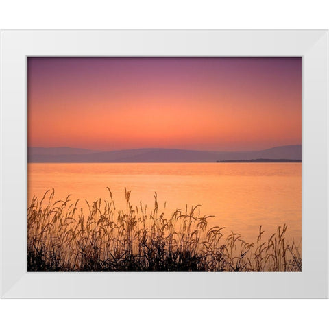 Golden Hour White Modern Wood Framed Art Print by Frates, Dennis