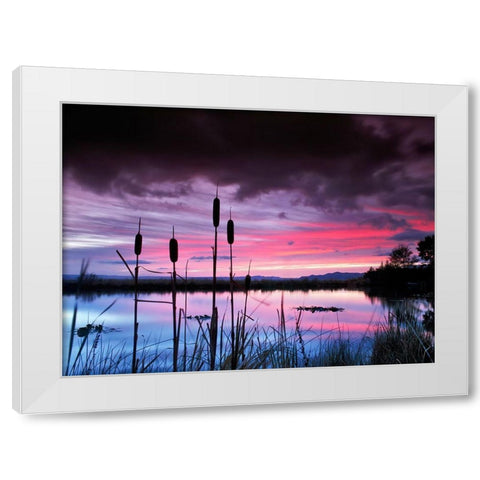Purple Skies White Modern Wood Framed Art Print by Frates, Dennis