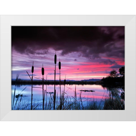 Purple Skies White Modern Wood Framed Art Print by Frates, Dennis