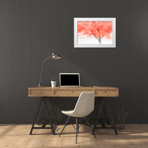 Coral Window White Modern Wood Framed Art Print by Frates, Dennis