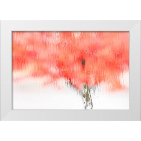 Coral Window White Modern Wood Framed Art Print by Frates, Dennis