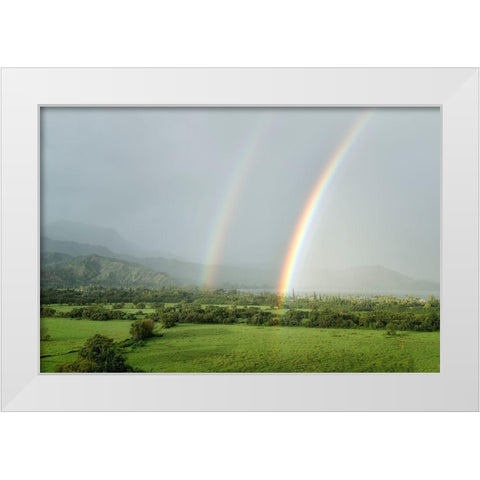 Double Rainbow White Modern Wood Framed Art Print by Frates, Dennis