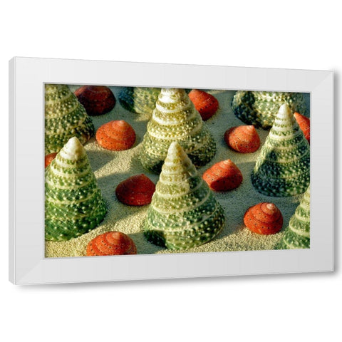 Tree Shells White Modern Wood Framed Art Print by Frates, Dennis