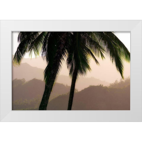 Misty Palms White Modern Wood Framed Art Print by Frates, Dennis