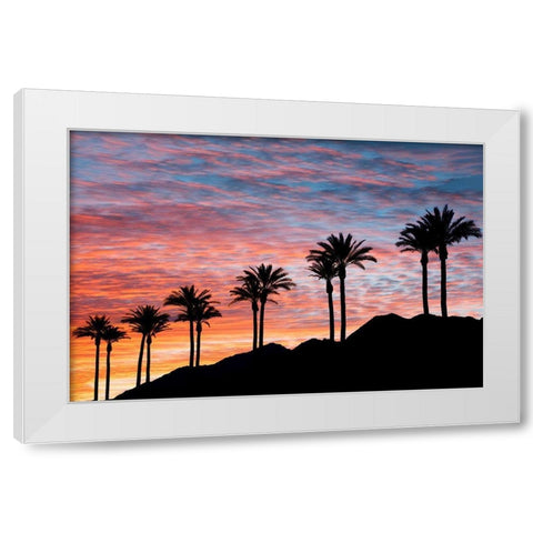 Palm Tree Sunset White Modern Wood Framed Art Print by Frates, Dennis