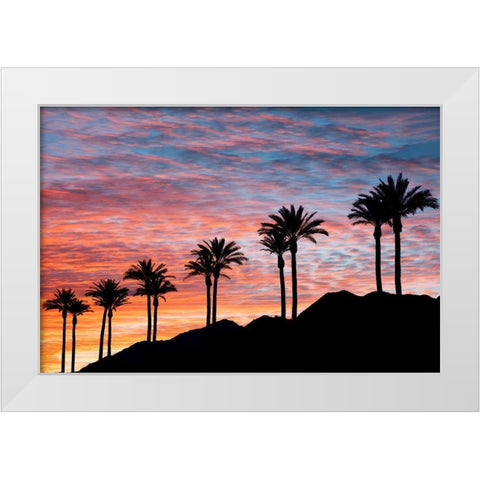 Palm Tree Sunset White Modern Wood Framed Art Print by Frates, Dennis