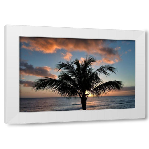 Palm Tree Sunset II White Modern Wood Framed Art Print by Frates, Dennis