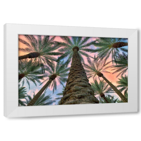 Worms Eye White Modern Wood Framed Art Print by Frates, Dennis