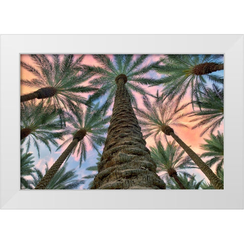 Worms Eye White Modern Wood Framed Art Print by Frates, Dennis