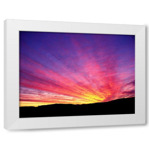 Hyper Color White Modern Wood Framed Art Print by Frates, Dennis
