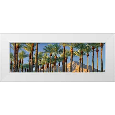 Trees White Modern Wood Framed Art Print by Frates, Dennis