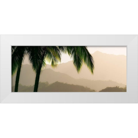 Misty Palms IV White Modern Wood Framed Art Print by Frates, Dennis