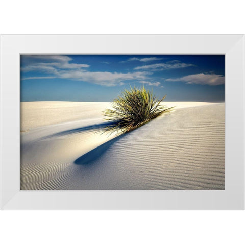 Dune White Modern Wood Framed Art Print by Frates, Dennis