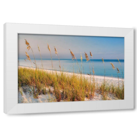 Breezy White Modern Wood Framed Art Print by Frates, Dennis