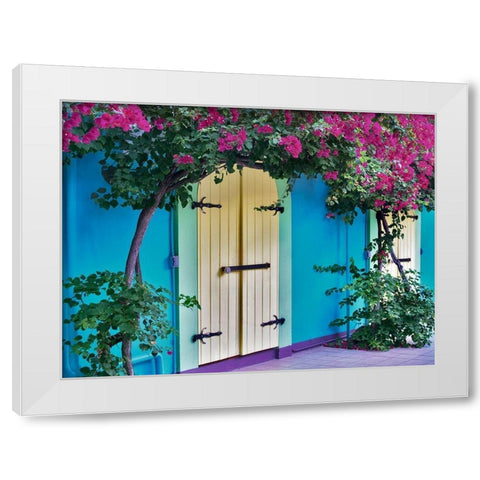 Double Doors White Modern Wood Framed Art Print by Frates, Dennis