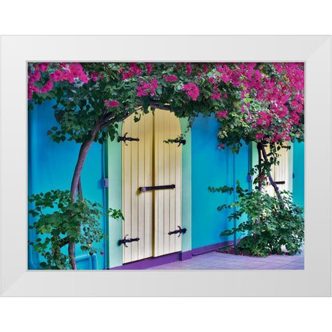 Double Doors White Modern Wood Framed Art Print by Frates, Dennis