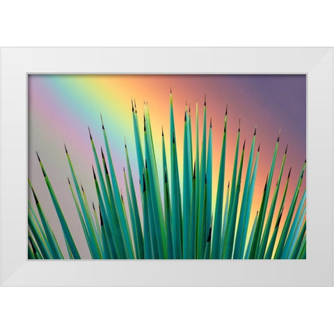 Prism Plant White Modern Wood Framed Art Print by Frates, Dennis