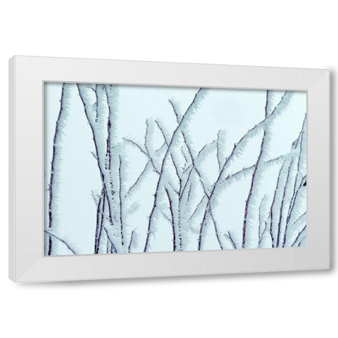 Icy White Modern Wood Framed Art Print by Frates, Dennis