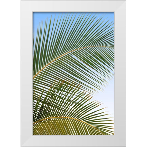 Tropical II White Modern Wood Framed Art Print by Frates, Dennis