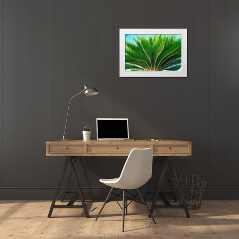 Tropical III White Modern Wood Framed Art Print by Frates, Dennis