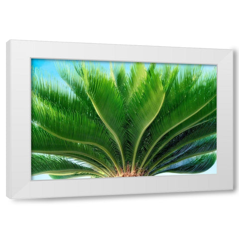 Tropical III White Modern Wood Framed Art Print by Frates, Dennis