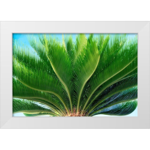Tropical III White Modern Wood Framed Art Print by Frates, Dennis