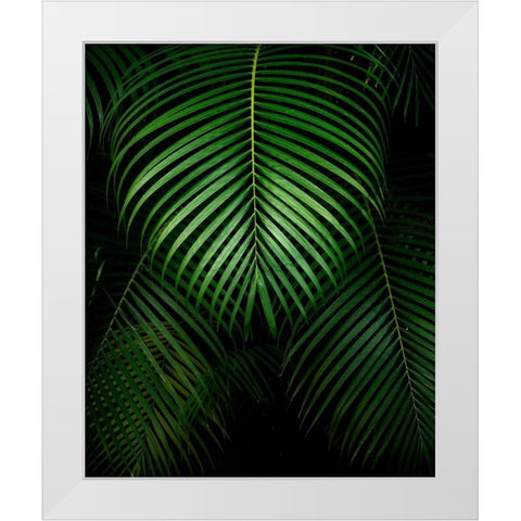 Tropical IV White Modern Wood Framed Art Print by Frates, Dennis