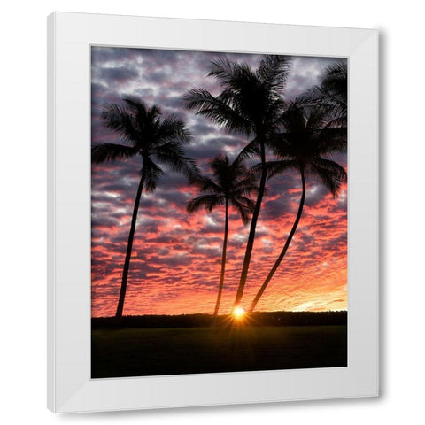 Sunset Silhouette White Modern Wood Framed Art Print by Frates, Dennis