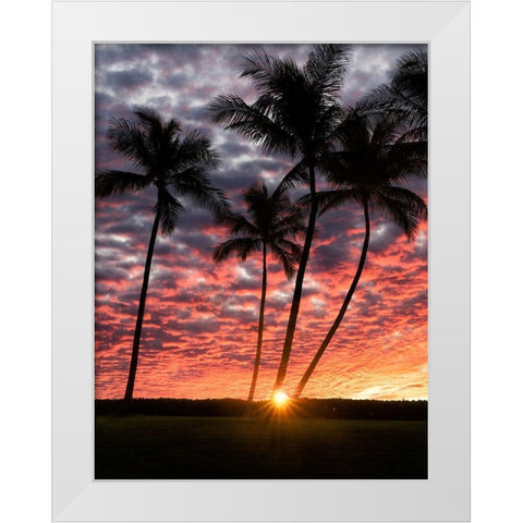 Sunset Silhouette White Modern Wood Framed Art Print by Frates, Dennis