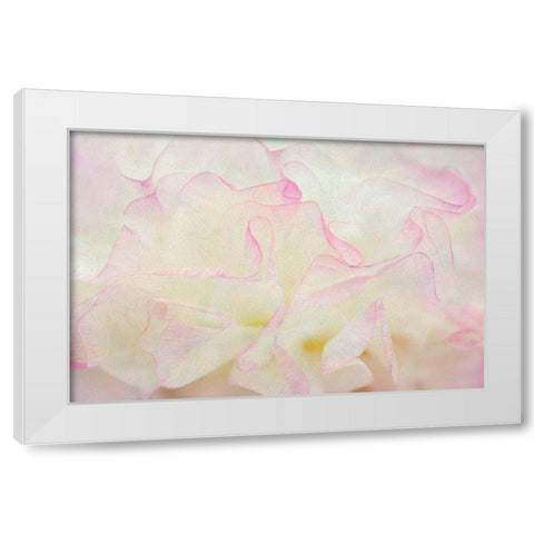 Blush White Modern Wood Framed Art Print by Frates, Dennis