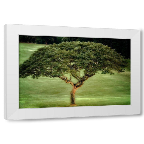 Single Tree White Modern Wood Framed Art Print by Frates, Dennis